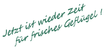 Frisches Geflügel